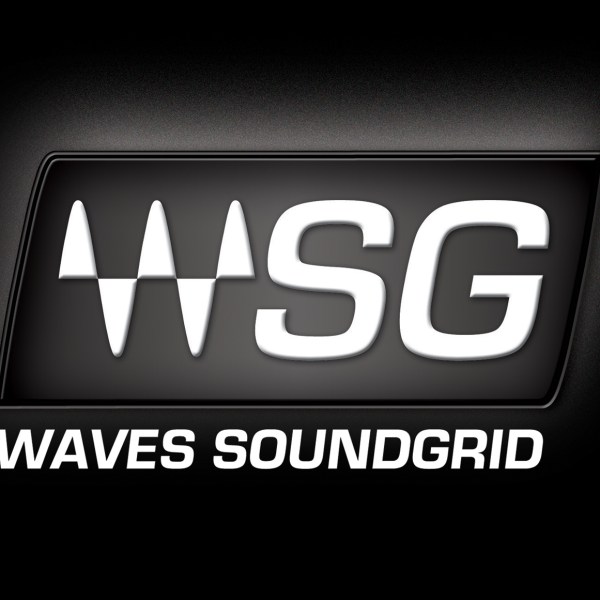 wsg-logo-black